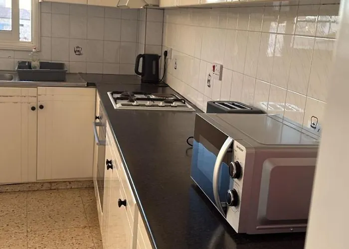 Ancient View With Smart Tv & Netflix *